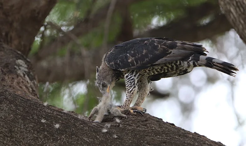 Soha véget nem érő kölcsönök: Amikor a családi pénzügyek mindent felforgatnak
