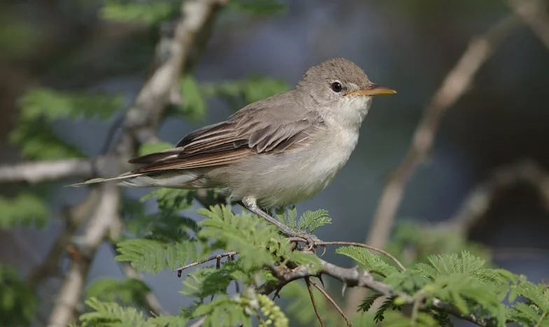 „Vigyetek el nyaralni!” – Egy anya kétségbeesett kérése, amit senki sem hall meg
