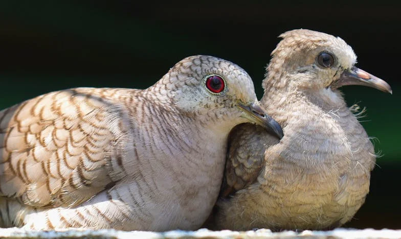 A férjem szülei csak akkor keresnek minket, ha pénz kell nekik – meddig tűrjem még?