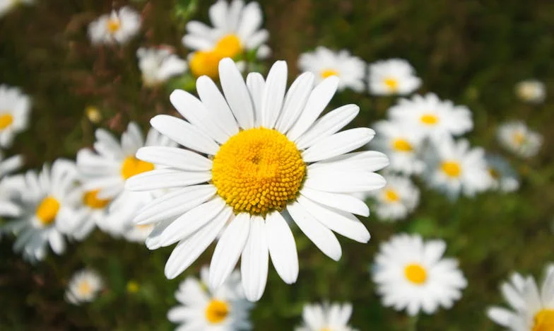 A fiam beköltözött a lányomhoz – Egy barátnő majdnem mindent tönkretett, de végül rájöttünk, mi számít igazán