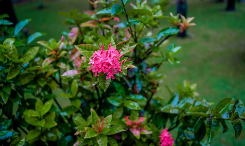 „A fiam menyasszonya csak a telefonját nyomkodta – sosem kedveltem őt igazán”