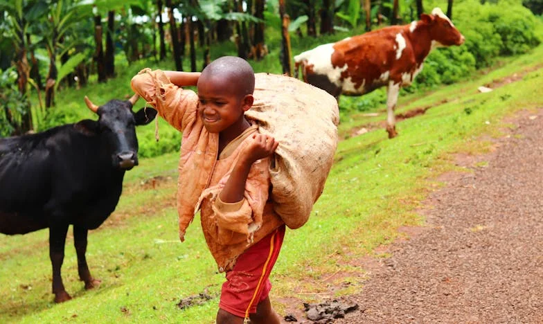 „A húgom terhes lett, és most a házamat akarja – Mit tegyek?” Egy magyar családi dráma, ahol a testvéri kötelékek próbára kerülnek