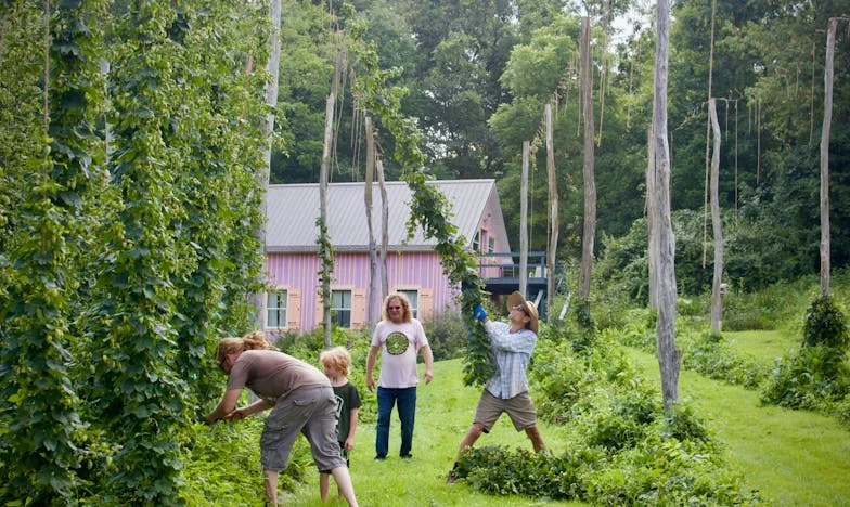 A menyasszony szenvedélyes beszéde: Miért volt üres az esküvői asztal?