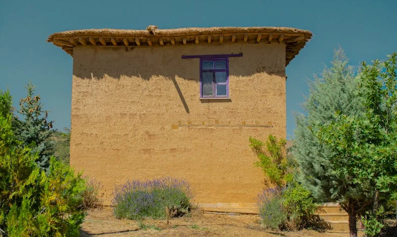 A menyem ki akart tenni a házból, de karácsonykor minden megváltozott – Egy magyar család drámája és megbékélése