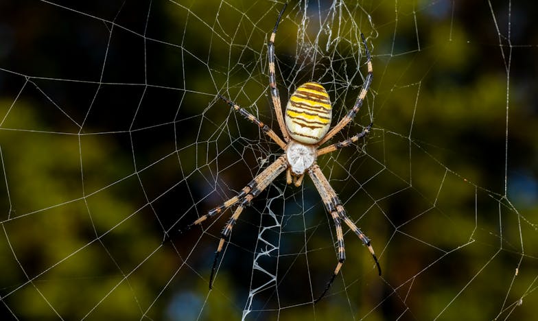 „A pénz mindent megold?” – Egy családi vita, ami örökre megváltoztatta a kapcsolatomat a férjemmel és a szüleimmel