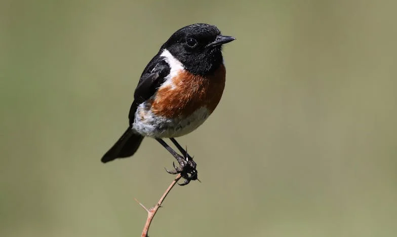 „Amikor a fiam már megint pénzt kért – egy anya harca a fia adósságspiráljával”