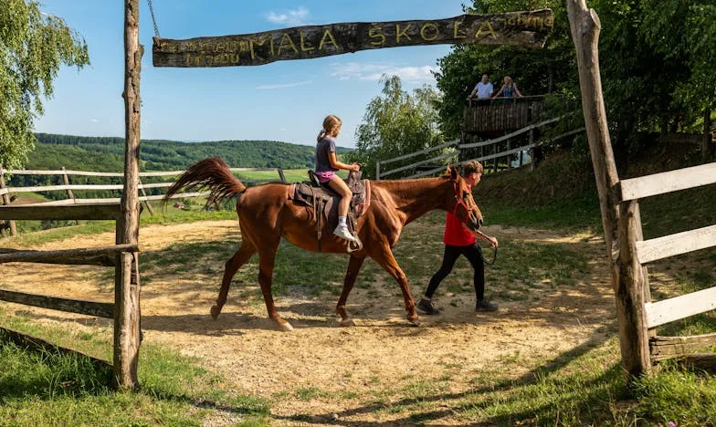 „Amikor az anyósom azt mondta: ‘Ugye, megegyeztünk? Felvesszük a hitelt.’ – Mindenki átnézett rajtam, én pedig összepakoltam és visszamentem anyámhoz”