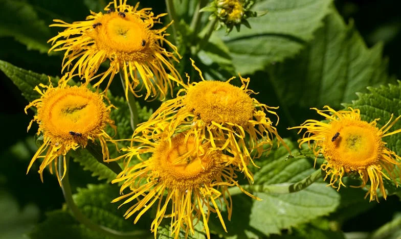 „Amikor Gábor sikeres lett, elfelejtette, hogy létezem. Most, hogy bajban van, tőlem vár segítséget” – Egy elfeledett feleség vallomása