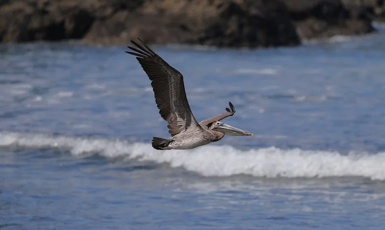 „Amikor kidobtam a fiamat és a menyemet a lakásomból – csak ekkor értettem meg, mennyire kihasználtak az évek alatt”