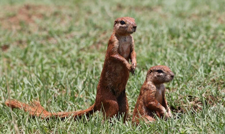 „Amit a férjem naplója elárult – Egy pincében feltárt titok, ami mindent megváltoztatott”