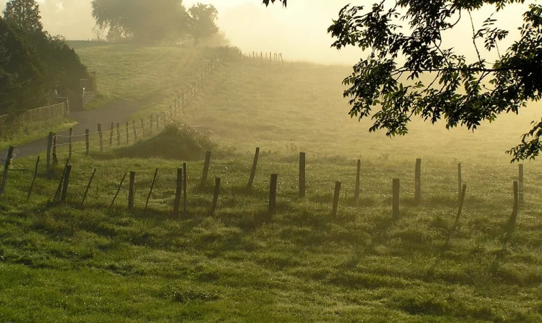 „Az apám halála után a testvéreim ellenségeimmé váltak – a hagyaték szétzilálta a családunkat”