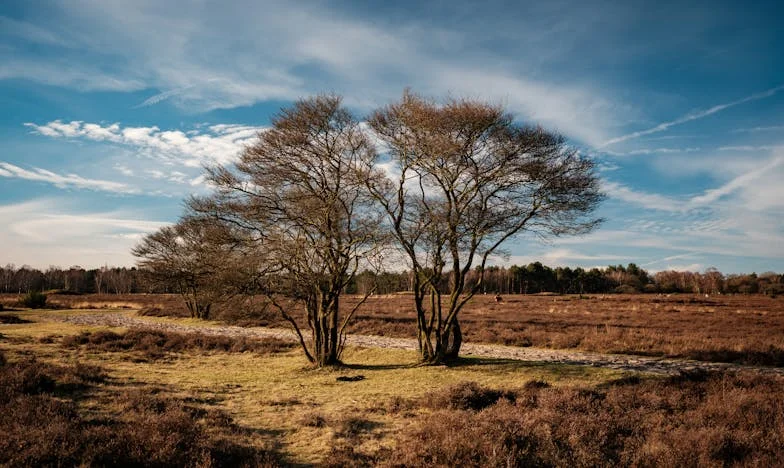 „Azt mondta a menyem, hogy soha többé nem láthatom az unokáimat…” – Egy nagymama megrázó vallomása egy családi tragédiáról