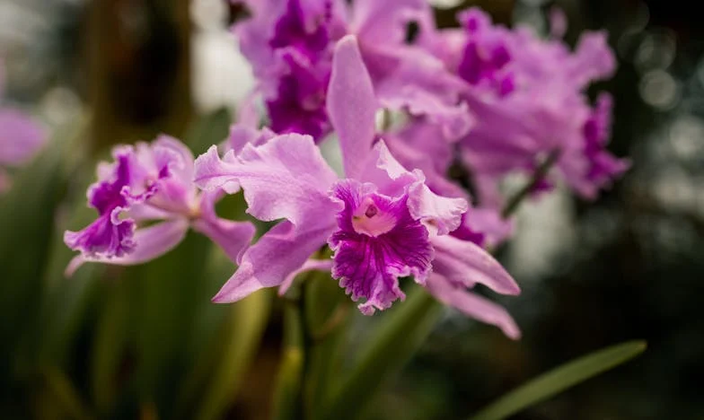 Becsuktam a szemem a férjem hűtlenségeire – amíg egy napon a földön fekve rá nem jöttem, ki az, aki igazán mellettem áll