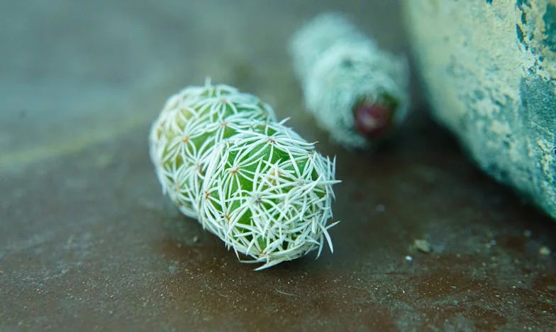 „Befogadtam a bajban lévő unokatestvéremet – de hónapok múlva rájöttem, hogy meglopott”