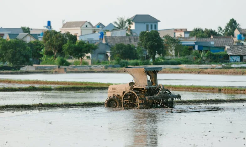 „Egy hétig titkolták előttem az unokám születését – amikor ajándékkal mentem, a menyem az ajtóban várt”