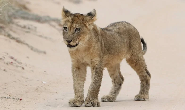 Elköltöttem az egész fizetésemet egy dizájner kabátra – Most a családom haragszik rám, és nem tudom, hogyan tovább