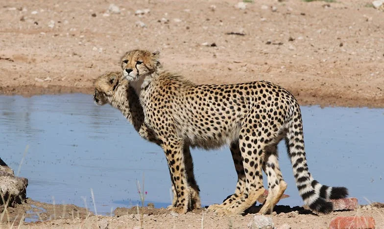 „Harminc év után egyedül: Hogyan tanulok meg újra élni, amikor már csak magam vagyok?”