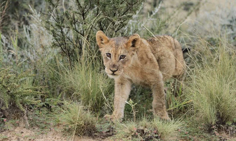 „Írd át minden vagyont rám! Miért hiszel neki? Át akar verni!” – Egy magyar család széthullásának története egy anya szemével