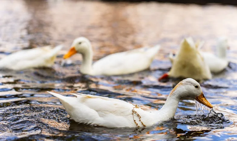 „Közbeavatkozni vagy hagyni dönteni? Egy anya vívódása a család széthullása közben”