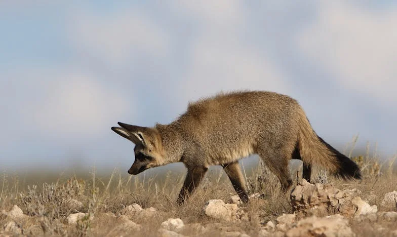 „Miért nem veszed fel a telefont, Lilla?” – Egy anya vallomása a csendről, ami mindent megváltoztatott