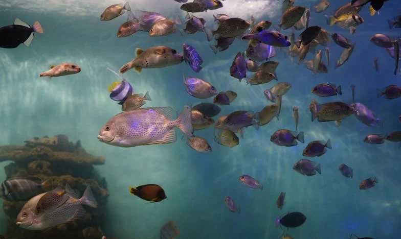 Miért tetted ezt? Hogyan boldogulunk autó nélkül? – Egy anya küzdelme a családért és önmagáért