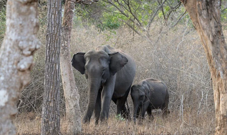 „Na, Most Rajtad a Sor, Hogy Segíts a Felújításban!” – Egy Testvéri Hazugság, Ami Mindent Felforgatott