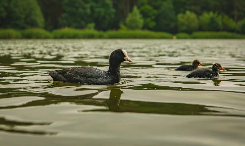 „Ne kényeztesd el a gyereket!” – Egy magyar anya vallomása a családi harcokról és a nevelés dilemmáiról