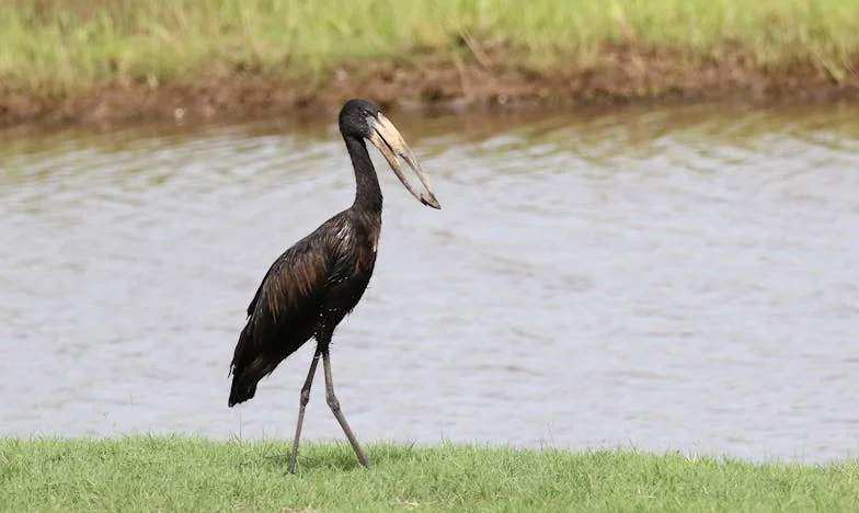 „Nem ezt akartam, de most már nincs visszaút” – Egy váratlan gyermekáldás mindent felforgatott az életünkben
