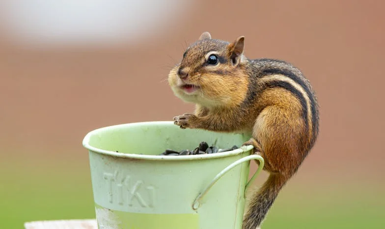 "Nem tudom eltartani a lányomat és az unokáimat, ha elhagyja a férjét" – Egy anya őszinte vallomása a családi boldogságról és félelemről