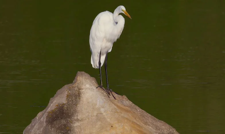 „Nem vállaltam az unokám felügyeletét – most mindenki ellenem fordult a családban”