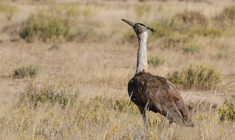 Válás után sem volt elég: az anyósom és a volt férjem a fiam ellenem fordításával próbálkoztak – de nem hagytam magam!