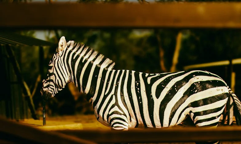 A lányom már nem az enyém: Egy anya vallomása arról, hogyan veszítette el gyermekét egy mérgező szerelem miatt