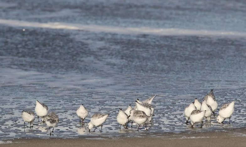 „A vejem rendes ember, de a szülei tönkretehetik az unokáimat – Egy anya küzdelmei a családi békéért”