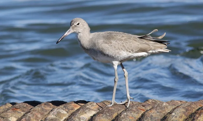 „Amikor 12 éves volt a lányom, el kellett mennem külföldre dolgozni” – Most gyűlöl, amiért magára hagytam, amikor a legnagyobb szüksége lett volna rám