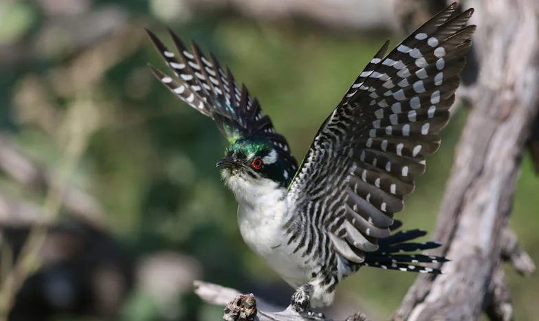Amikor a türelem elfogyott: Az éjszaka, amikor a férjem kizárt a lakásból