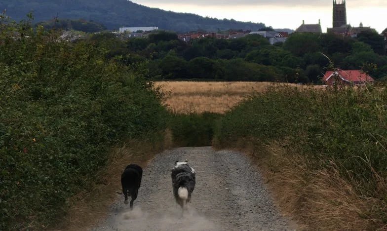 Amikor minden kiderült: Egy titok, ami szétszakította a családomat