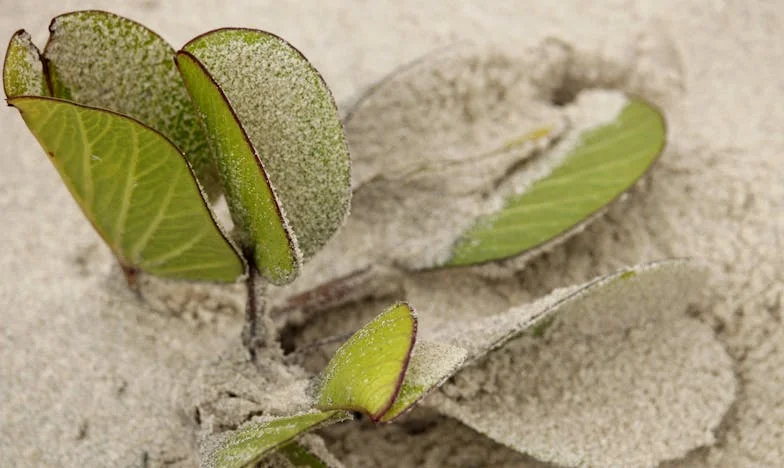„Az én fiam azt akarta, hogy költözzek ki egy faházba – én viszont nemet mondtam, és inkább pénzt ajánlottam” – Egy anya vallomása a családi összetartozásról és a generációs különbségekről