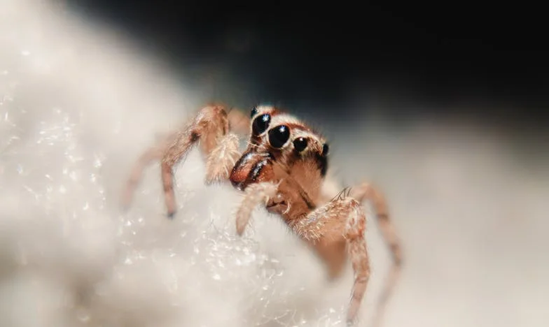 Egy babaváró ünnepség, ami darabokra törte az életem – Az igazság, amit a férjem titkolt előlem