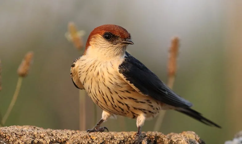 „Egy év csendben: Hogyan veszítettem el a lányomat és az unokámat, mert nemet mondtam?”