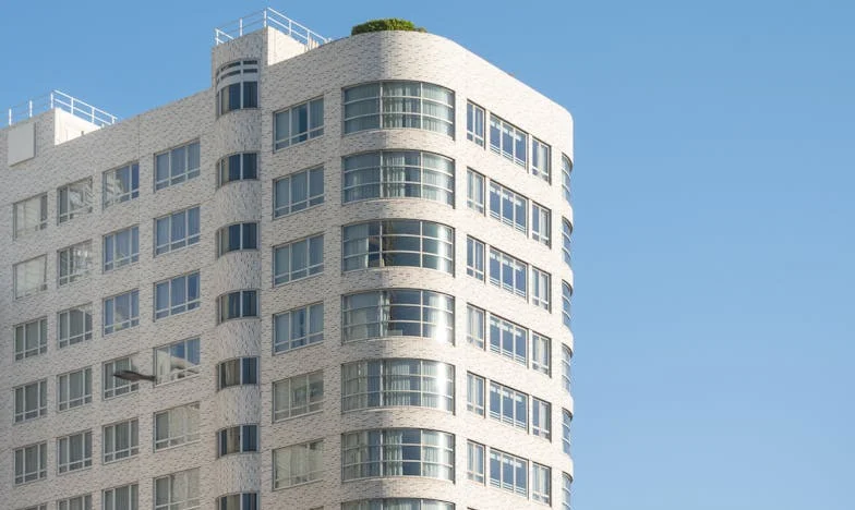 Egy kutya, két szív: Hogyan szakadt ketté a házasságom egy négylábú miatt