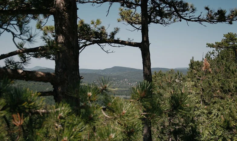 Egy megalázó pillanat a Sparban – és ami utána jött: hogyan tanított meg egy fiatal pénztáros a megbocsátásra