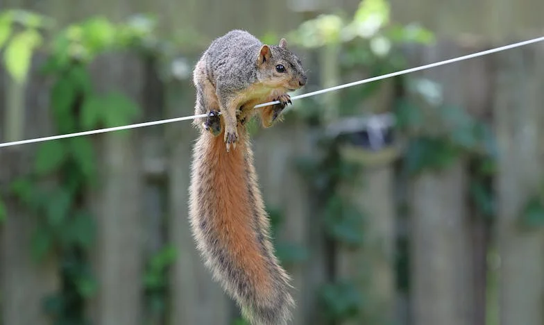 Hazatért a férjem, és közölte: válni akar – Egy este, ami mindent megváltoztatott