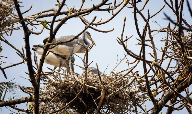Láthatatlan feszültségek: Amikor az anyós látogatása csatatérré változtatja az otthonomat