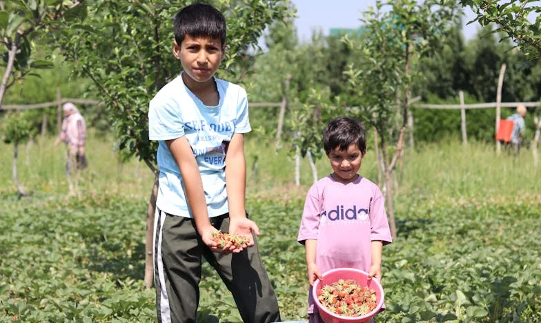 „Meddig tűrjem még, hogy anyja fia vagy?” – Egy budapesti lány története a szerelemről, önfeladásról és határokról