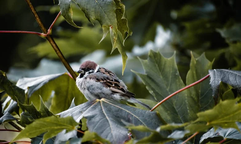„Megbocsátani vagy emlékeztetni?” – Egy családi kölcsön, ami szétszakította az életünket