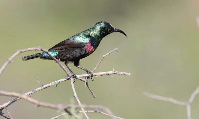 Miért Hasonlítja A Férjem Az Ételemet Másokéhoz? – Egy Este, Ami Mindent Megváltoztatott