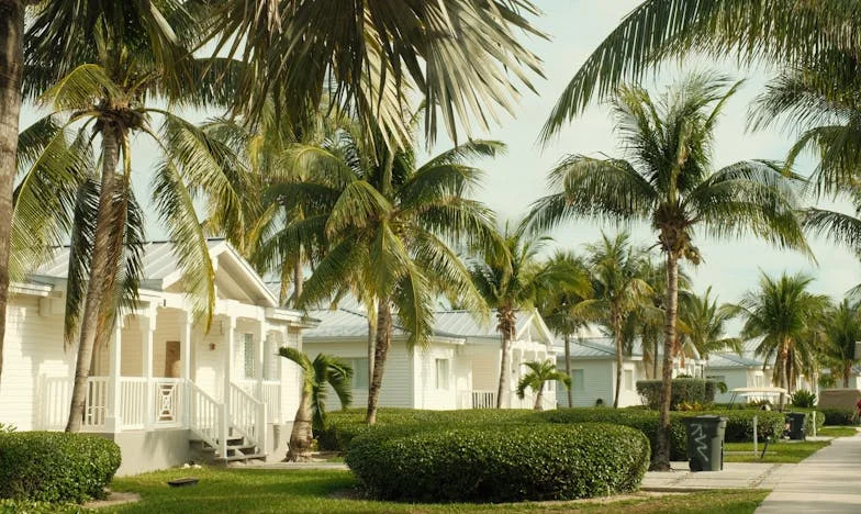 „Mit csinál ez a menyem?!” – Egy nagymama vallomása az anyaságról, családi konfliktusokról és a generációs különbségekről