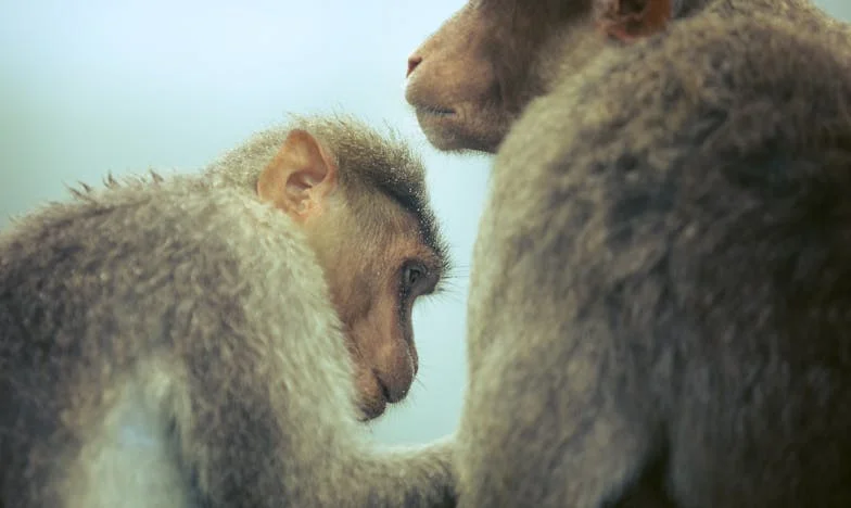 „Napsütéses Évek” – Egy magyar sorozatsztár vallomása: Mi marad a reflektorfény után?