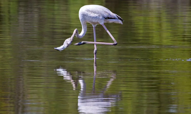 Örökség vagy család? Amikor a pénz mindent felborít – az én történetem