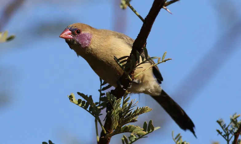 Tíz évvel azután, hogy terhesen kidobtak otthonról, most a szüleim könyörögnek a küszöbömön – Mit tennél a helyemben?